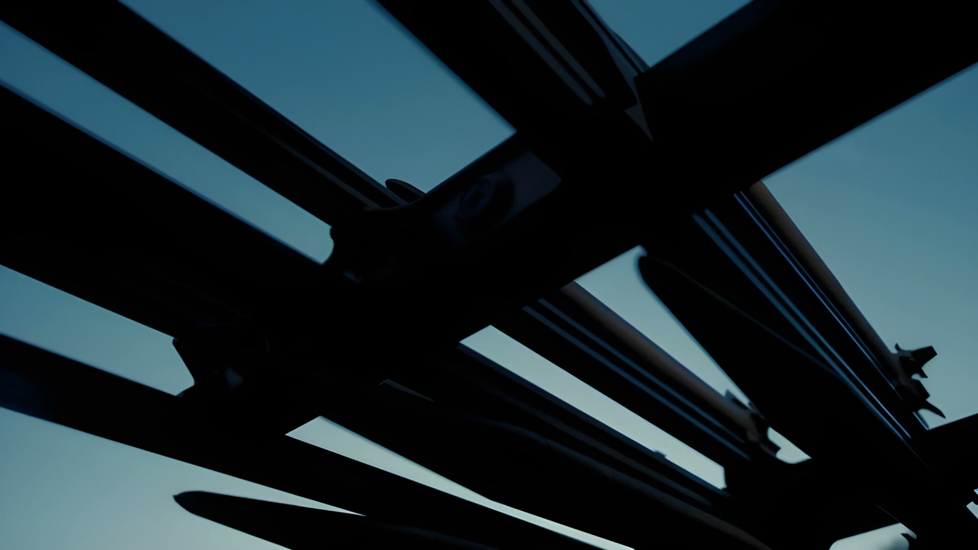TDS-S effector array at dusk